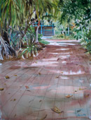 Art for Sale Gold Coast and Northern NSW