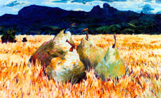 Art Gallery Gold Coast + Northern NSW